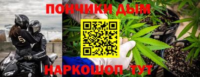 МДПВ Дубна
