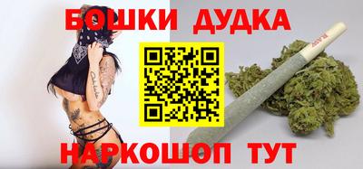 МДПВ Дубна