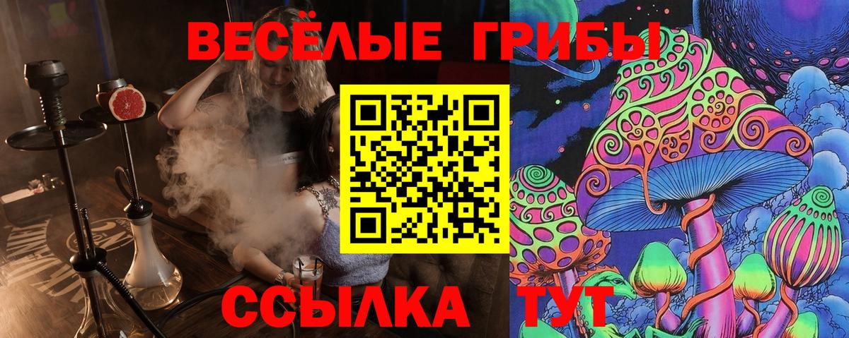 Галлюциногенные грибы Psilocybe Кириши